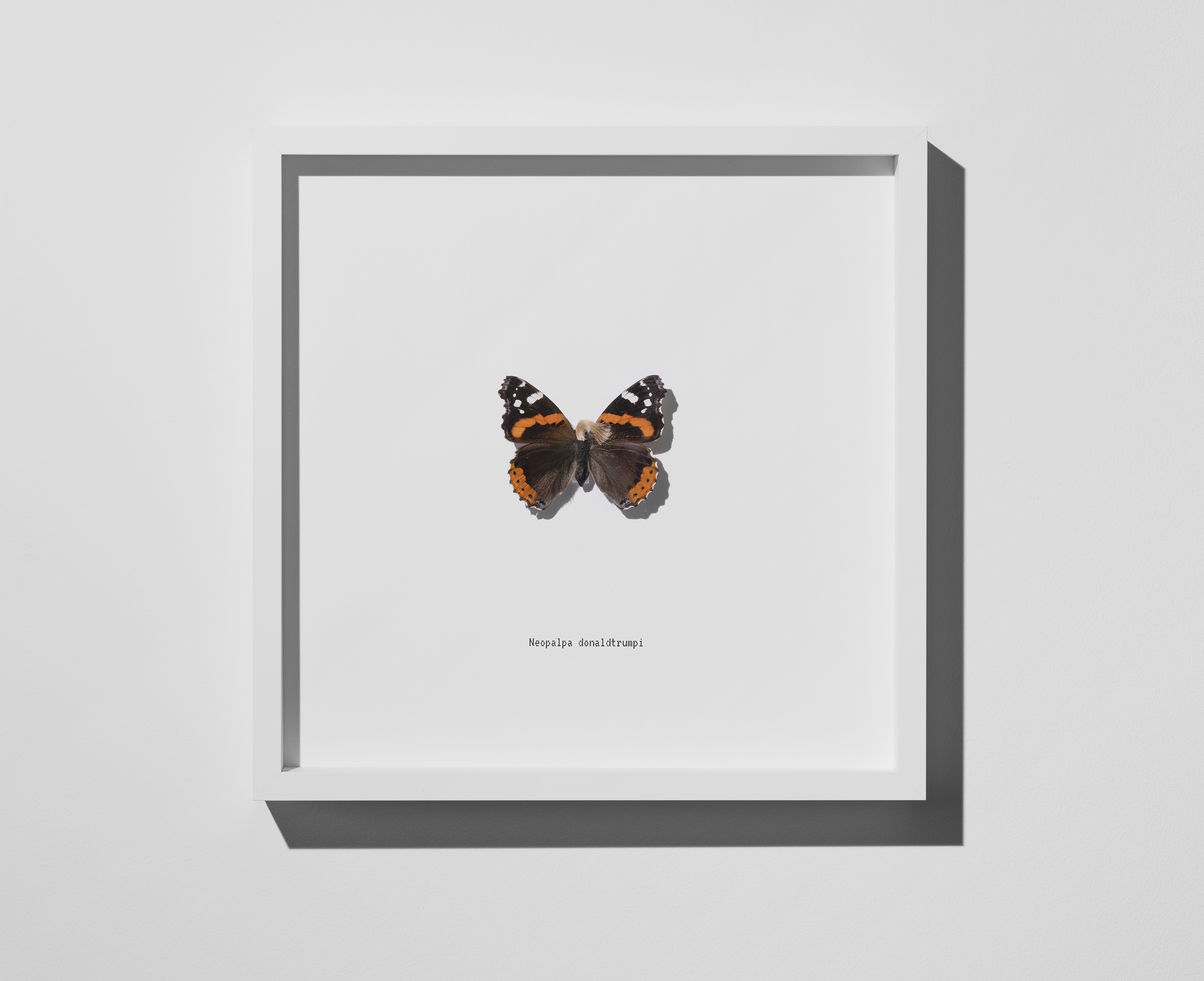 Poisoning Reality framed artwork - Swiss art collective t8y